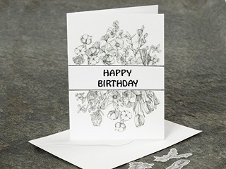 Birthdays for adults