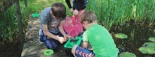 Udforsk naturen