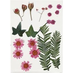 Tørrede blomster og blade