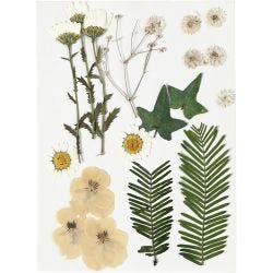Tørrede blomster og blade