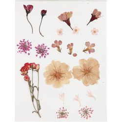 Tørrede blomster og blade