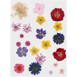 Tørrede blomster og blade