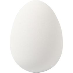 Æg