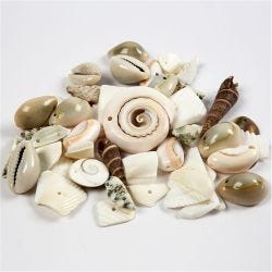 Strandskaller, str. 9-40 mm, hulstr. 1-1,5 mm, 120 g/ 1 pk.