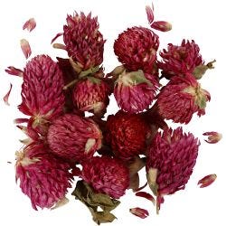 Tørrede Blomster