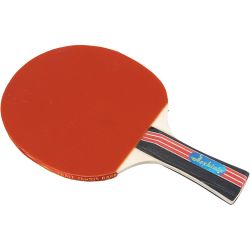 Bordtennisbat