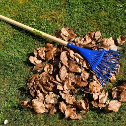 TOLO Haveredskaber til børn