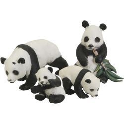 Pandafamilie
