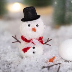 Mini DIY Kit Nissens Dør