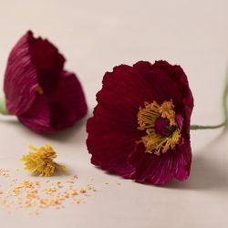 Mini DIY Kit Crepepapir