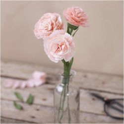 Mini DIY Kit Crepepapir