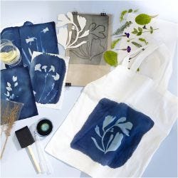 DIY Kit Cyanotypi