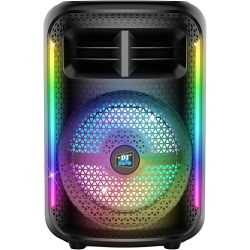 Karaokehøjttaler med mikrofon