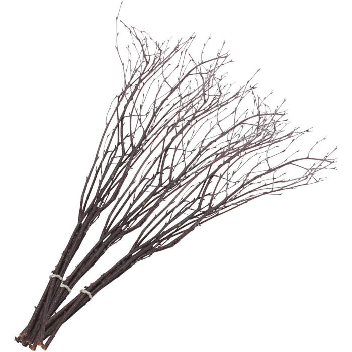 Fastelavnsris, L: 50-60 cm, 2x10736648 stk./ 1 pk.
