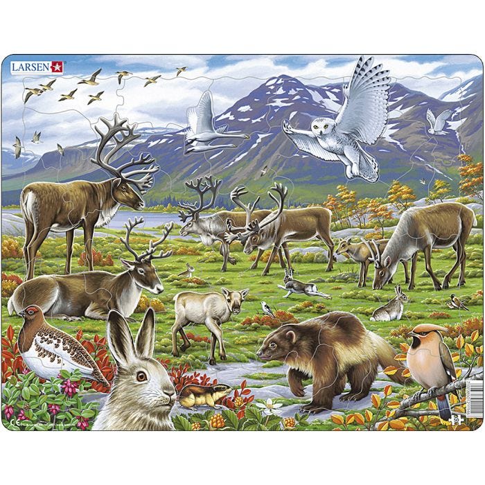 Puslespil, str. 28,5x36,5 cm, 50 brikker, 1 stk.