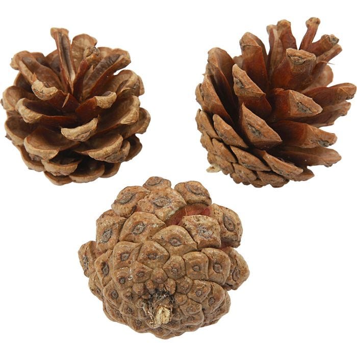 Fyrrekogler, diam. 40 mm, 500 g/ 1 pk.