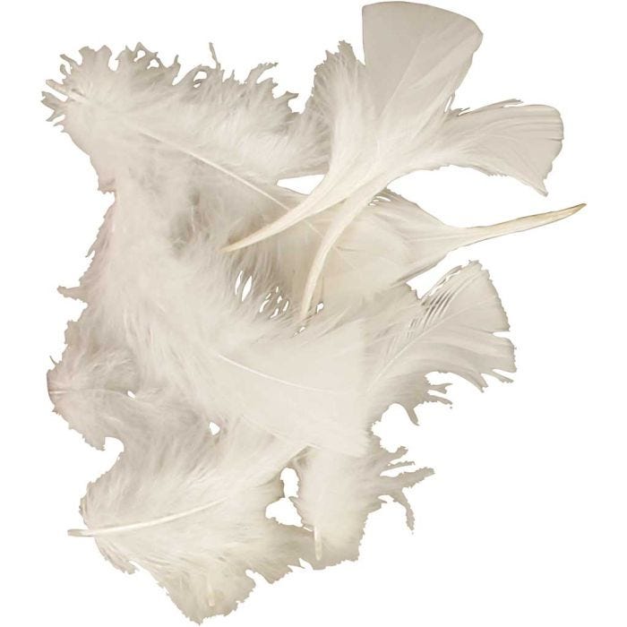 Dun, str. 7-8 cm, hvid, 50 g/ 1 pk.