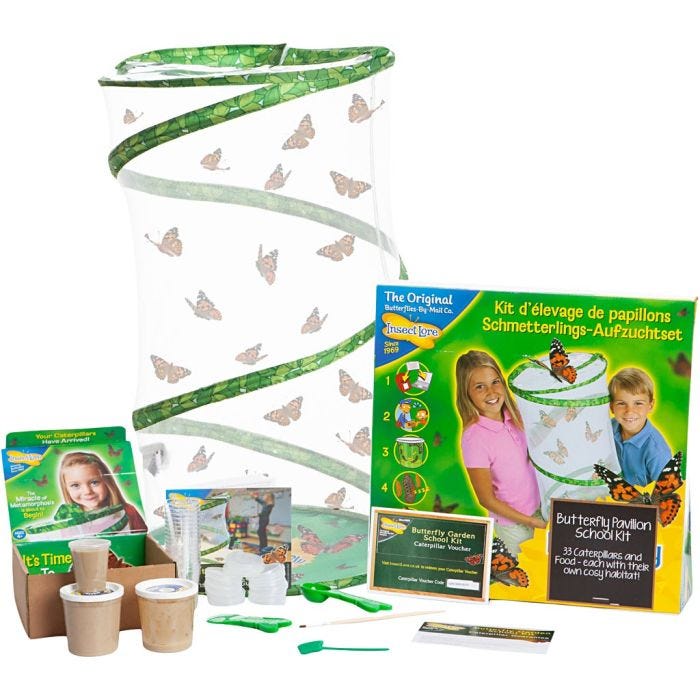 Sommerfuglehave, 33 stk./ 1 pk.