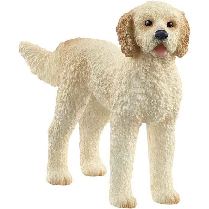Schleich Bondegårdsdyr, Golden doodle, 5,2x8,3x2 cm, 1 stk.