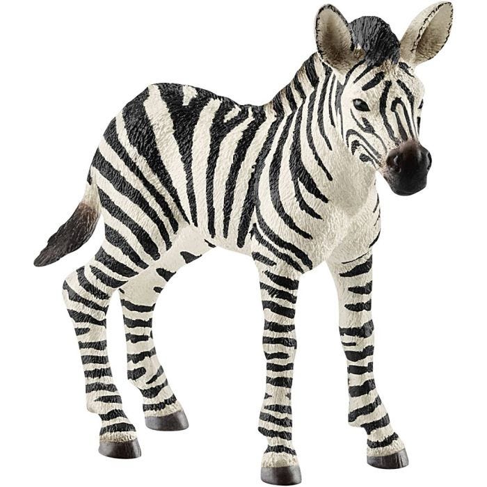 Schleich Vilde Dyr, Zebraføl, str. 7x7,6x2,2 cm, 1 stk.