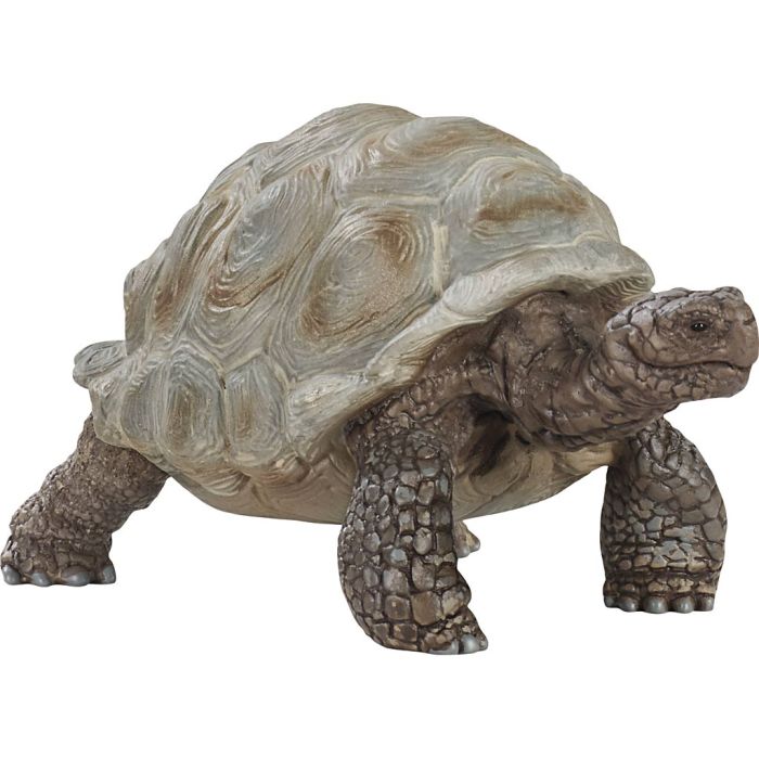 Schleich Vilde Dyr, Kæmpeskildpadde, str. 4,1x7+8x4,3 cm, 1 stk.