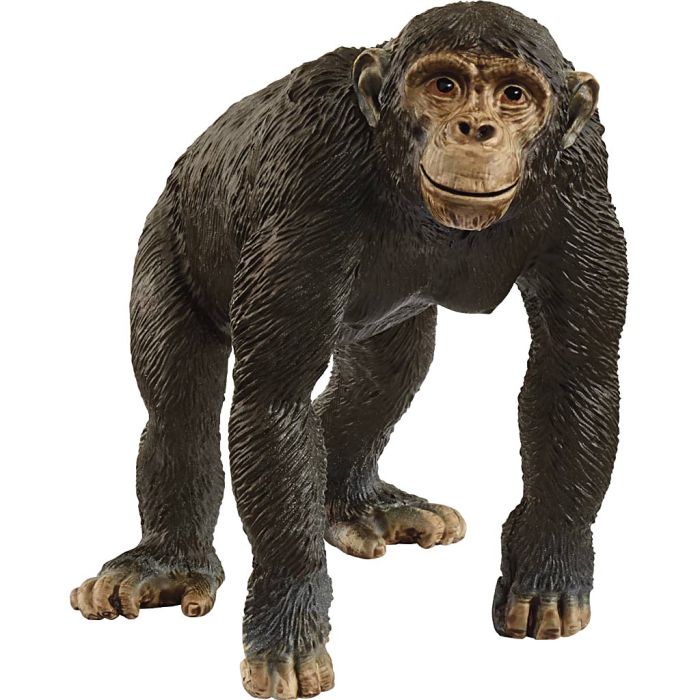 Schleich Vilde Dyr, Hunchimpanse, str. 8,3x4+7x6,5 cm, 1 stk.