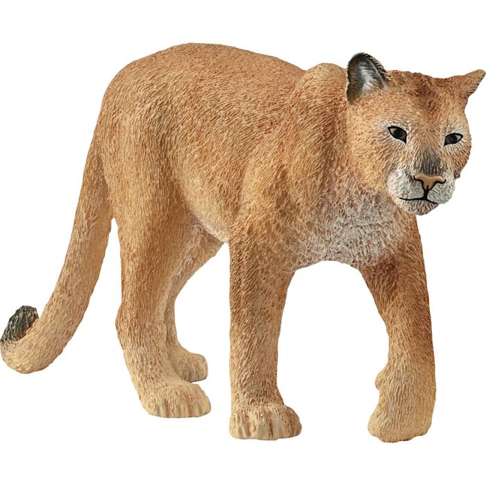 Schleich Vilde Dyr, Puma, str. 12 x 5,4 x 2,7 cm, 1 stk.