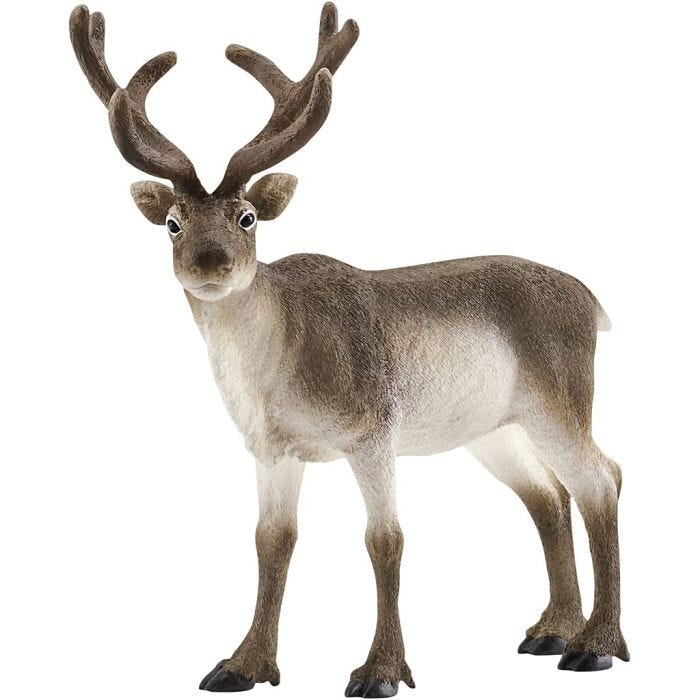 Schleich Nordiske Vilde Dyr, Ren, 12x12,5x6 cm, 1 stk.