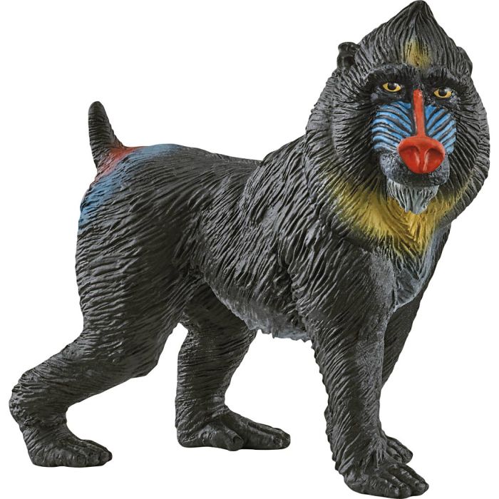 Schleich Nordiske Vilde Dyr, Mandril, str. 3,4x9+5x2,8 cm, 1 stk.