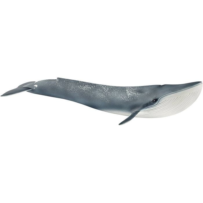 Schleich Havets Dyr, Blåhval, str. 28x6,7x11 cm, 1 stk.