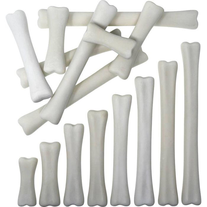 Dinosaurknogler, Knogler, str. 6-20 cm, 16 dele/ 1 pk.