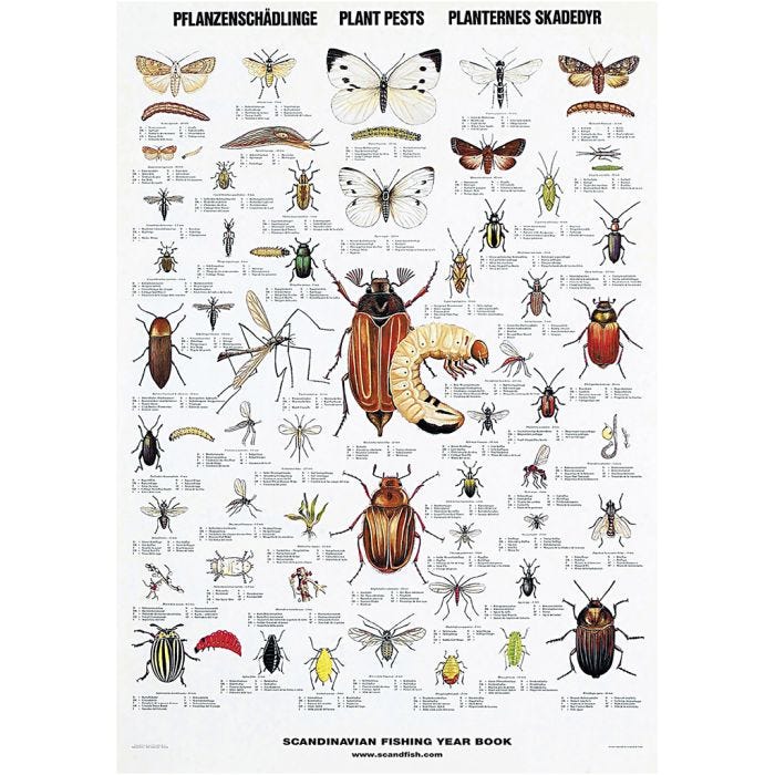 Undervisningsplakat, Planternes skadedyr, str. 70x100 cm, 1 stk.