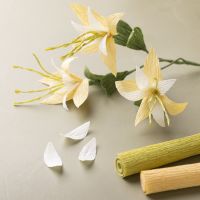 Dobbelt klematis af crepepapir