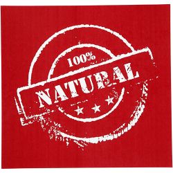 Screen stencil