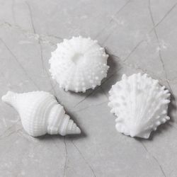 Silikoneform