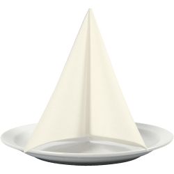 Servietter, str. 40x40 cm, 60 g, r&aring;hvid, 20 stk./ 1 pk.
