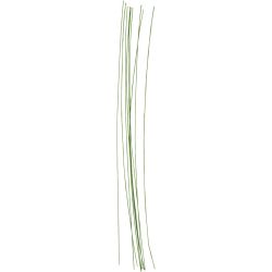 Blomsterstængel