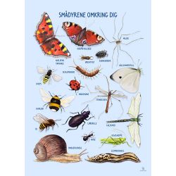 Plakat - Smådyrene omkring dig