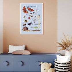 Plakat - Smådyrene omkring dig