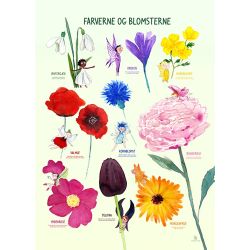 Plakat - Farverne og blomsterne 