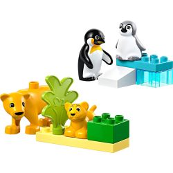 LEGO® DUPLO® Vilde dyrefamilier: pingviner og løver