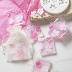 DIY Kit Sæbefremstilling